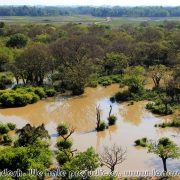 Ratargul Swamp Forest_22